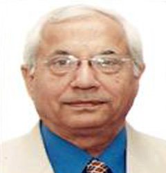 Vice Chairman